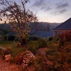 https://casa-da-tia-maria.madeira-islandshotels.com